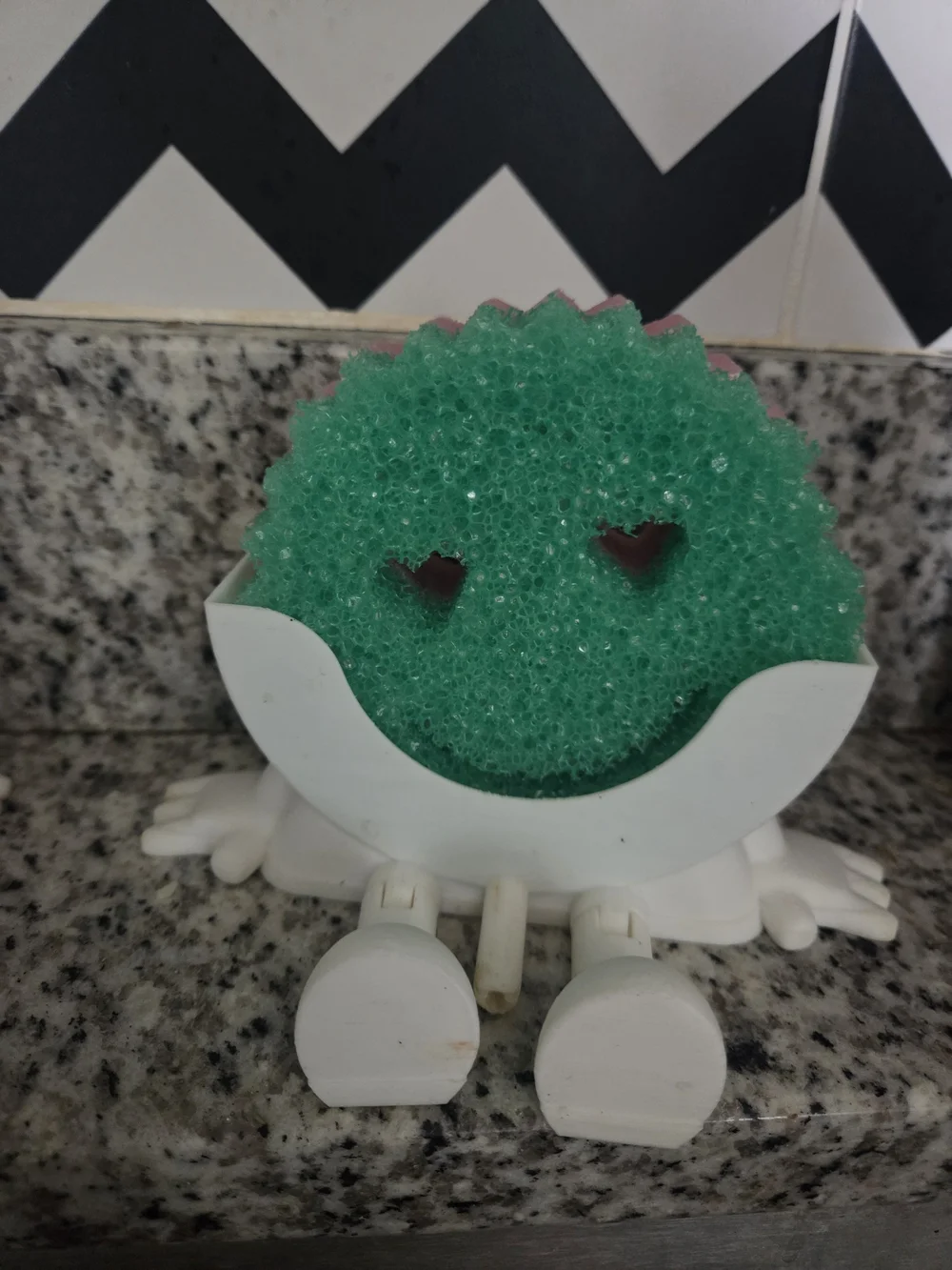 SINK SPONGE AND HOLDER